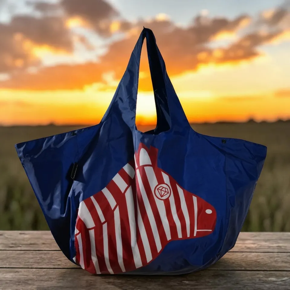 Envirosax Magic Bag Van Gogh sac réutilisable art